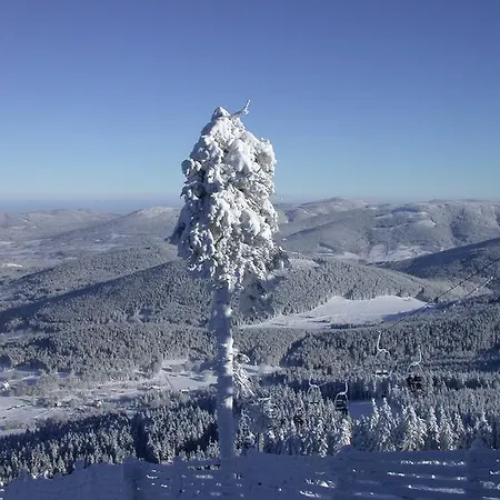 民宿 Lux-haeusla Kąty Bystrzyckie