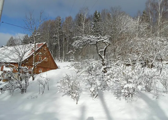 Проживание в семье Lux-haeusla *