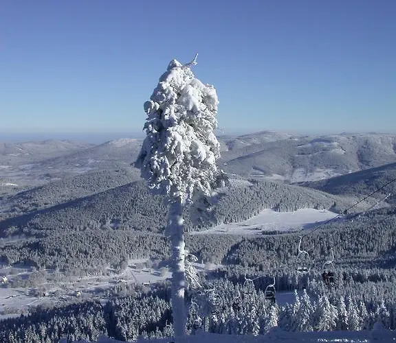 Проживание в семье Lux-haeusla Katy Bystrzyckie