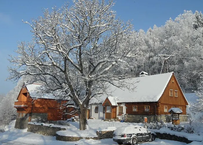 Проживание в семье Lux-haeusla Katy Bystrzyckie